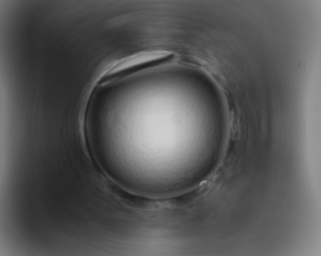 X0000094320099200711161938