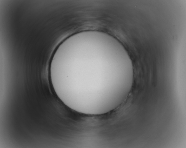 X0000094320100200711161938