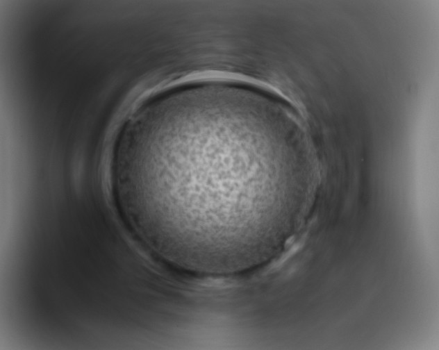 X0000094320101200711161938