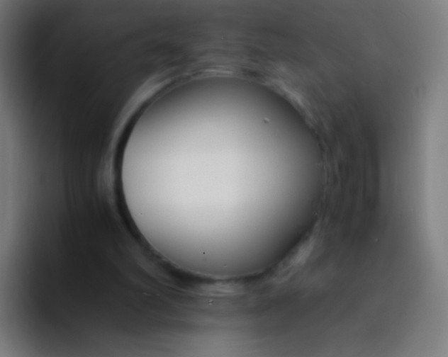 X0000094320102200711161938