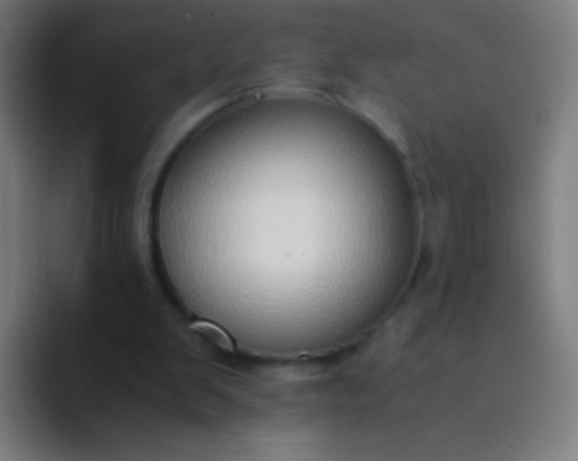 X0000094320103200711161938
