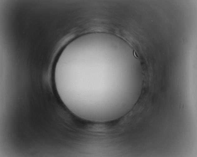 X0000094320104200711161938