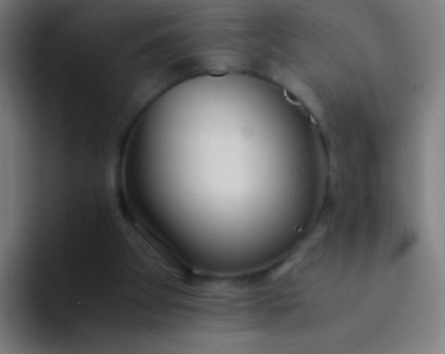 X0000094320105200711161938