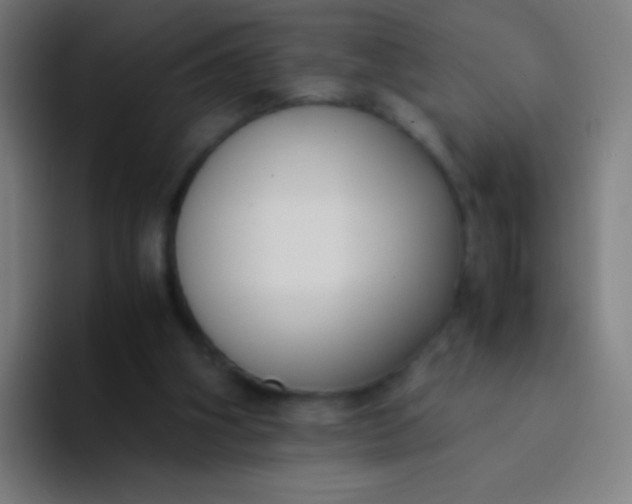 X0000094320106200711161938