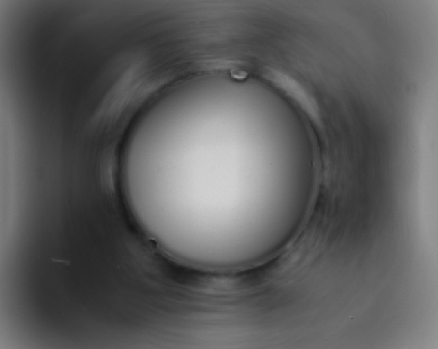 X0000094320107200711161938