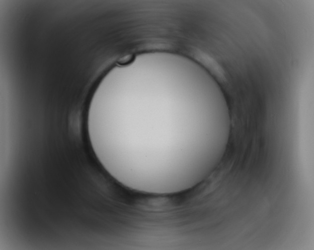 X0000094320108200711161938