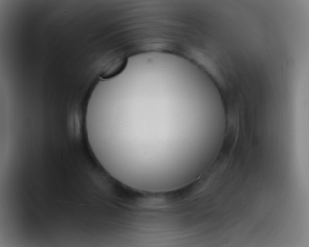 X0000094320110200711161937
