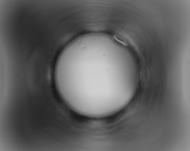 X0000094320115200711161937