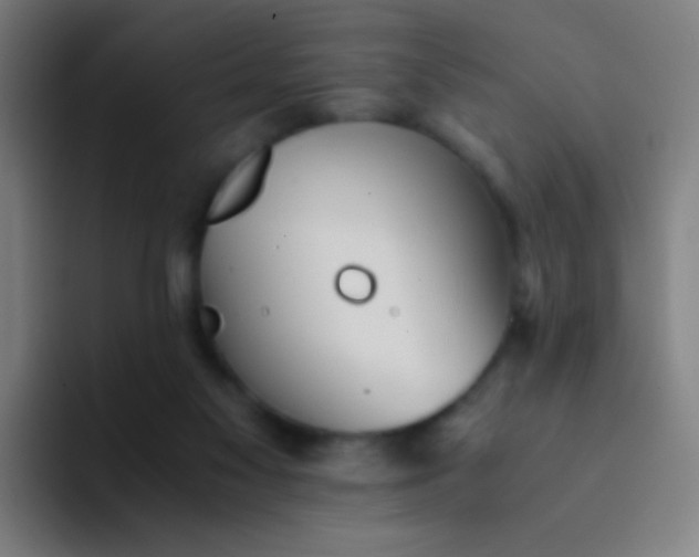 X0000094320117200711161937