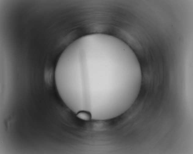 X0000094320118200711161937