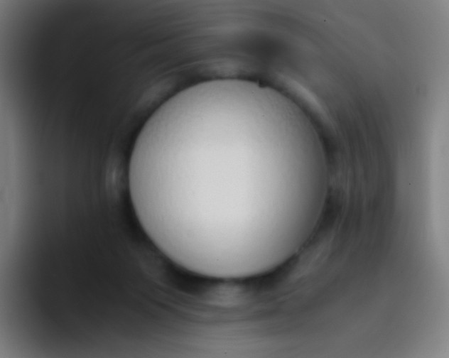 X0000094320119200711161937