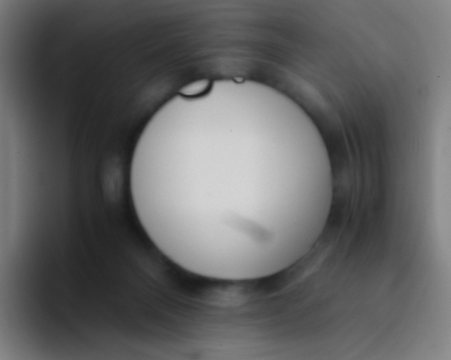 X0000094320120200711161937