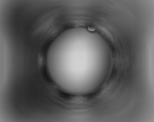 X0000094320123200711161937