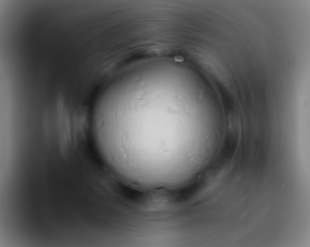 X0000094320127200711161937