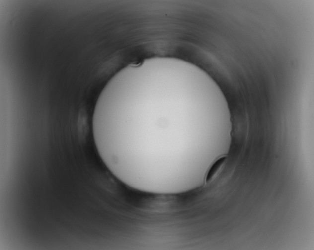 X0000094320128200711161937