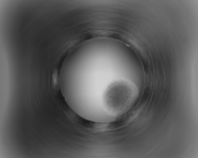 X0000094320143200711161937