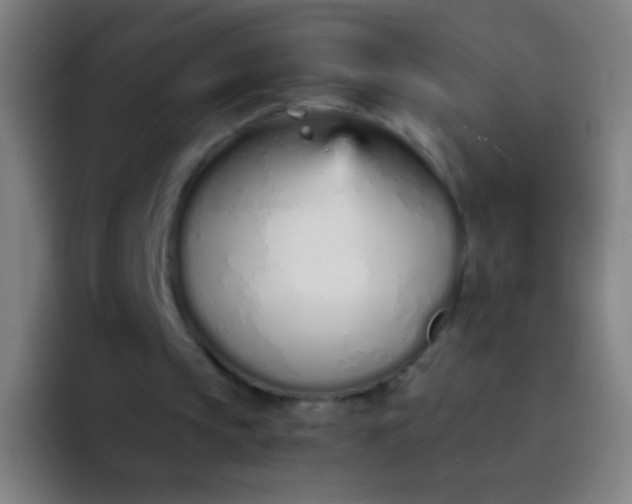 X0000094320145200711161936