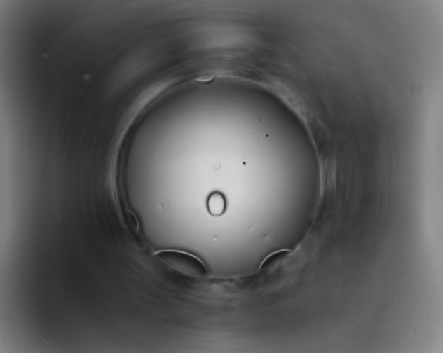 X0000094320147200711161936