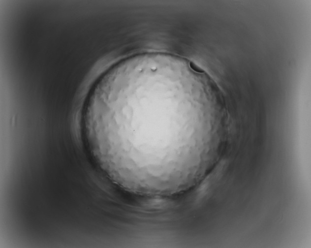 X0000094320151200711161936