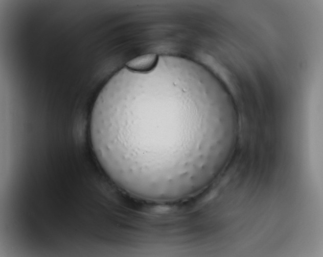 X0000094320153200711161937