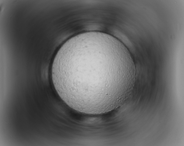 X0000094320155200711161937
