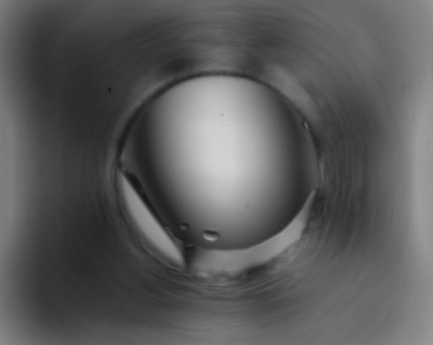 X0000094320156200711161937