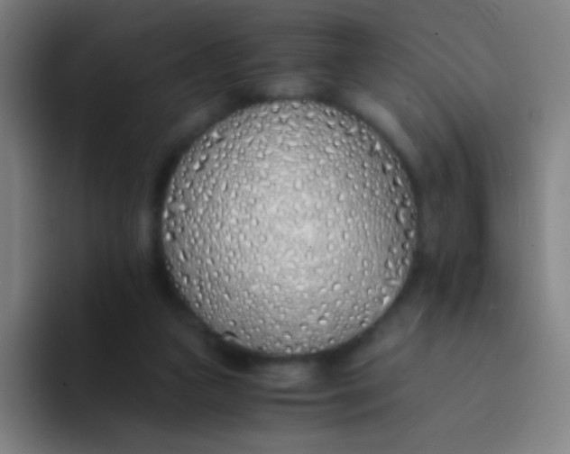 X0000094320161200711161937