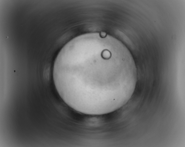 X0000094320163200711161937