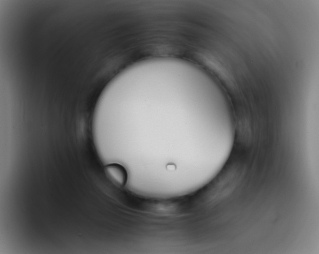 X0000094320165200711161937