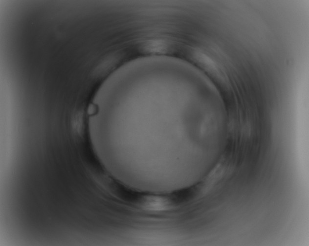 X0000094320167200711161937