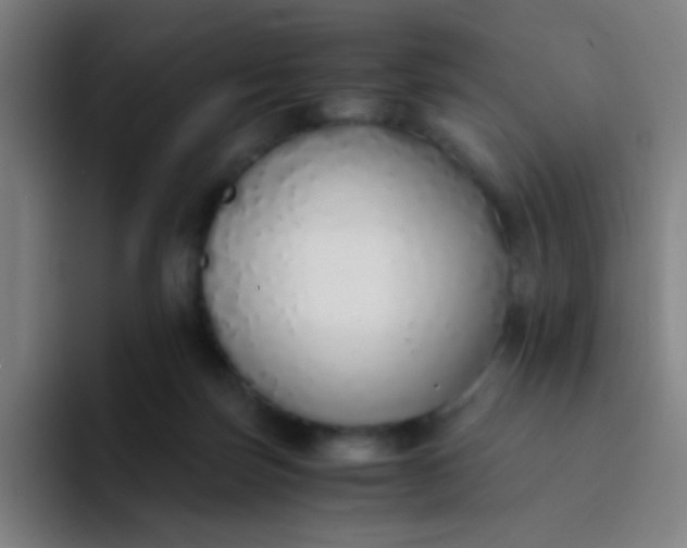 X0000094320171200711161937