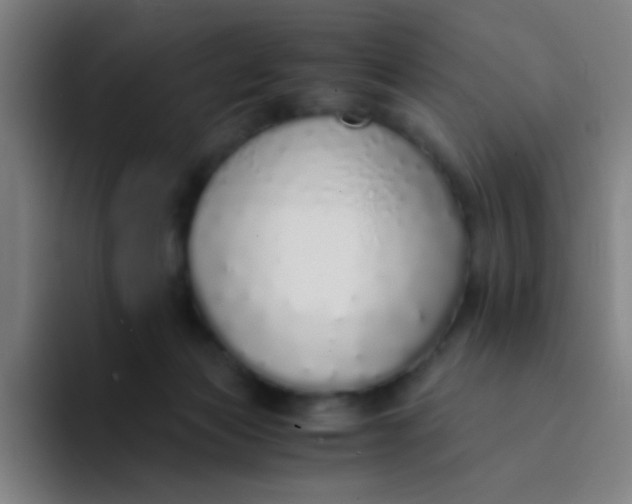 X0000094320173200711161937