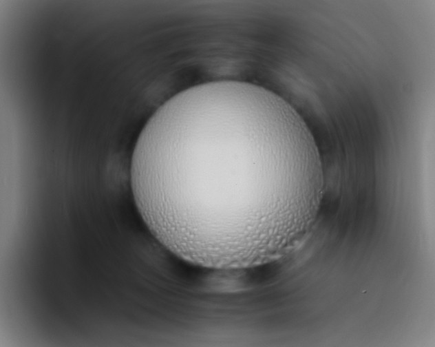 X0000094320179200711161937