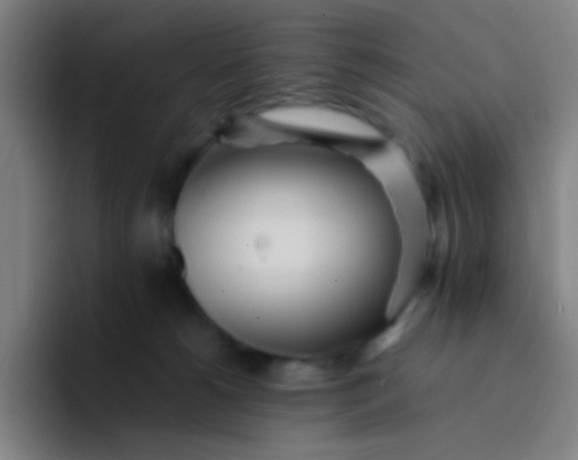 X0000094320180200711161937