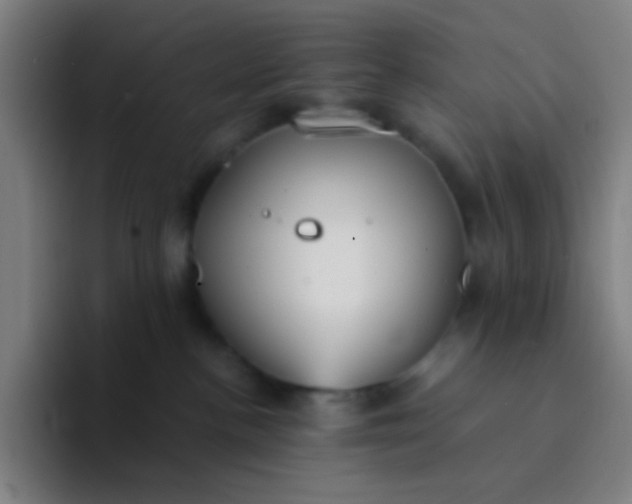 X0000094320188200711161937
