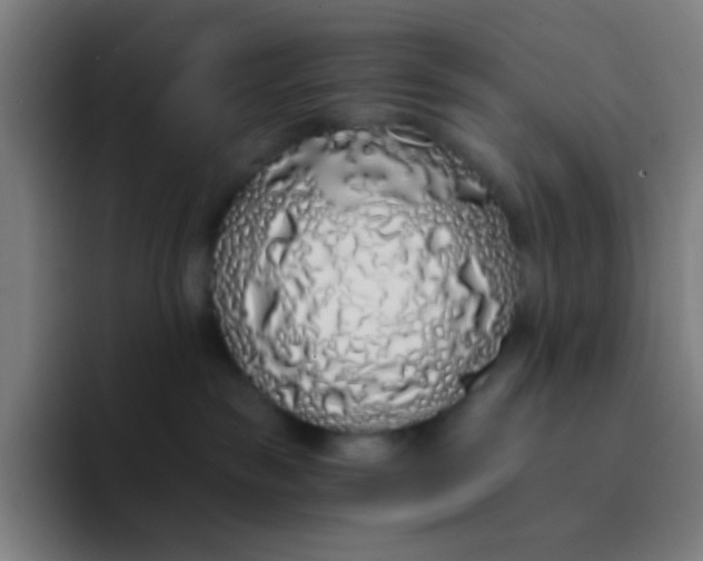 X0000094320189200711161937