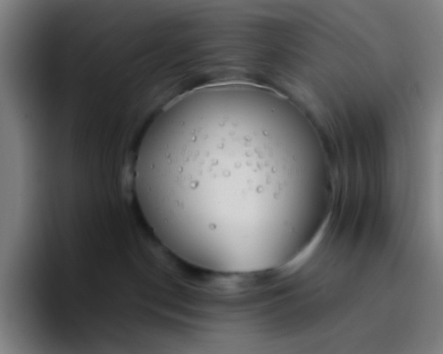 X0000094320190200711161937