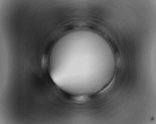 X0000094320191200711161937
