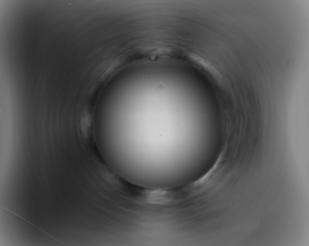 X0000094320192200711161937