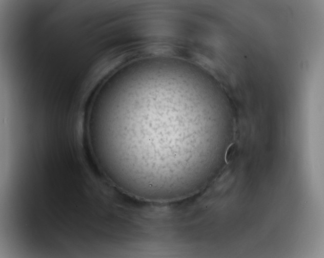 X0000094320194200711161936
