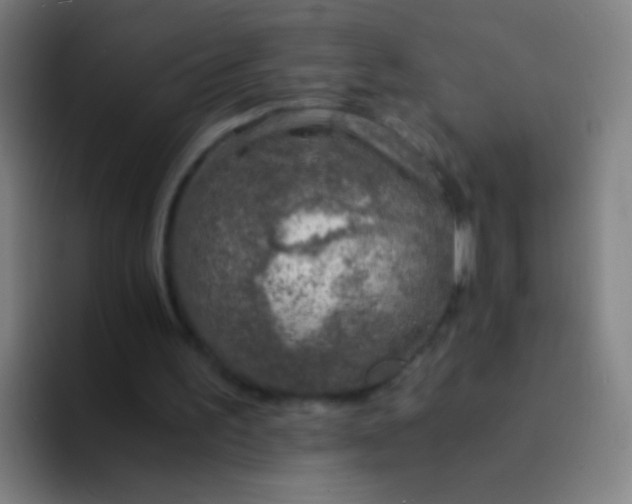 X0000094320195200711161936