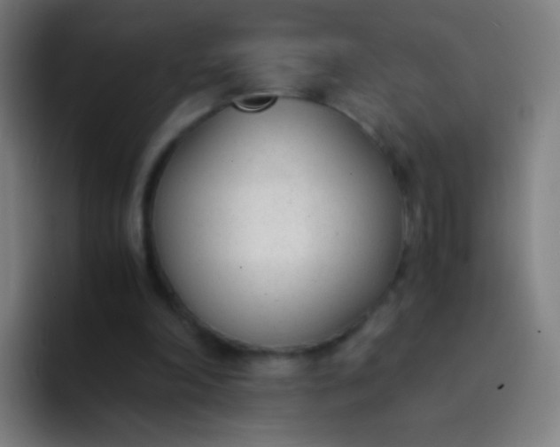 X0000094320198200711161936