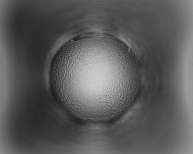 X0000094320199200711161936