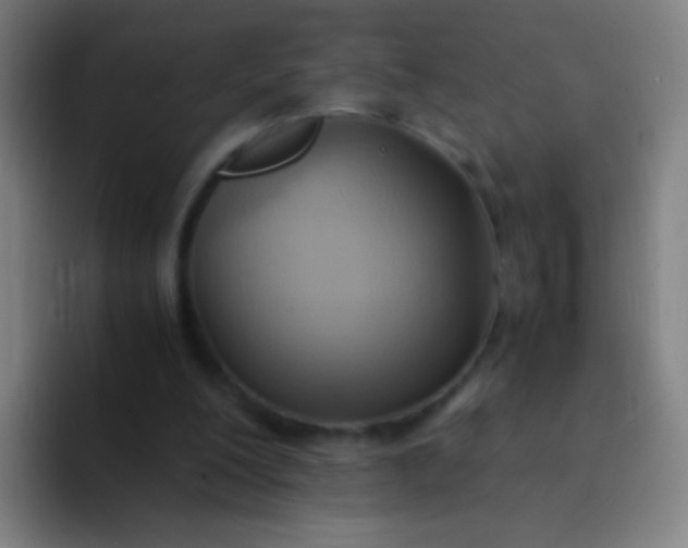 X0000094320200200711161936