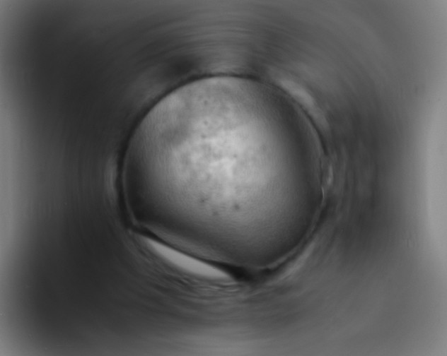 X0000094320201200711161936