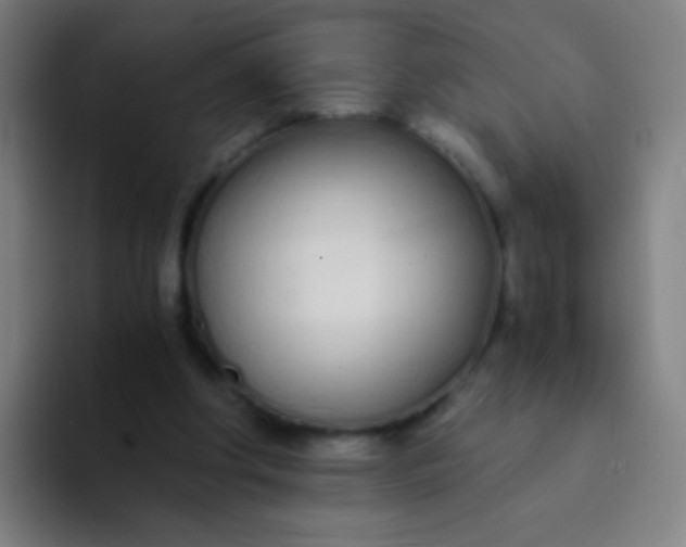 X0000094320202200711161936