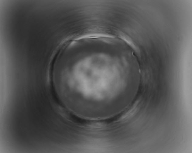 X0000094320203200711161936
