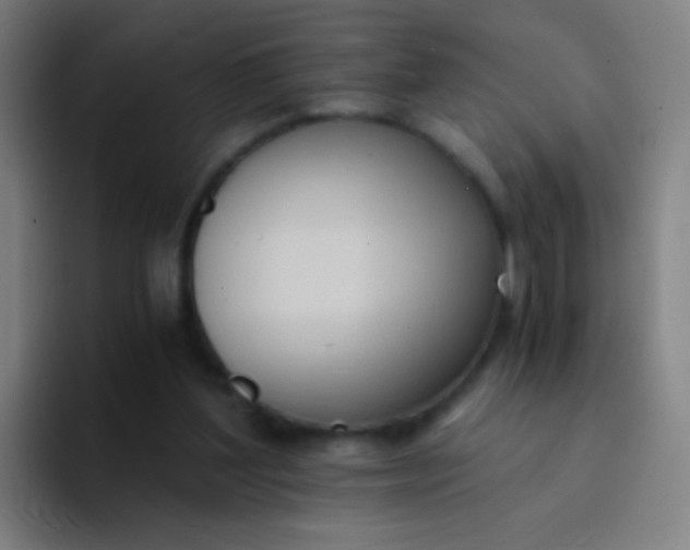X0000094320204200711161936