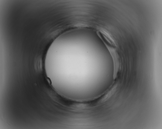 X0000094320205200711161936