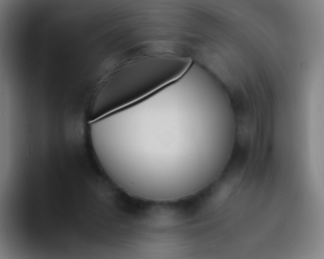 X0000094320207200711161936